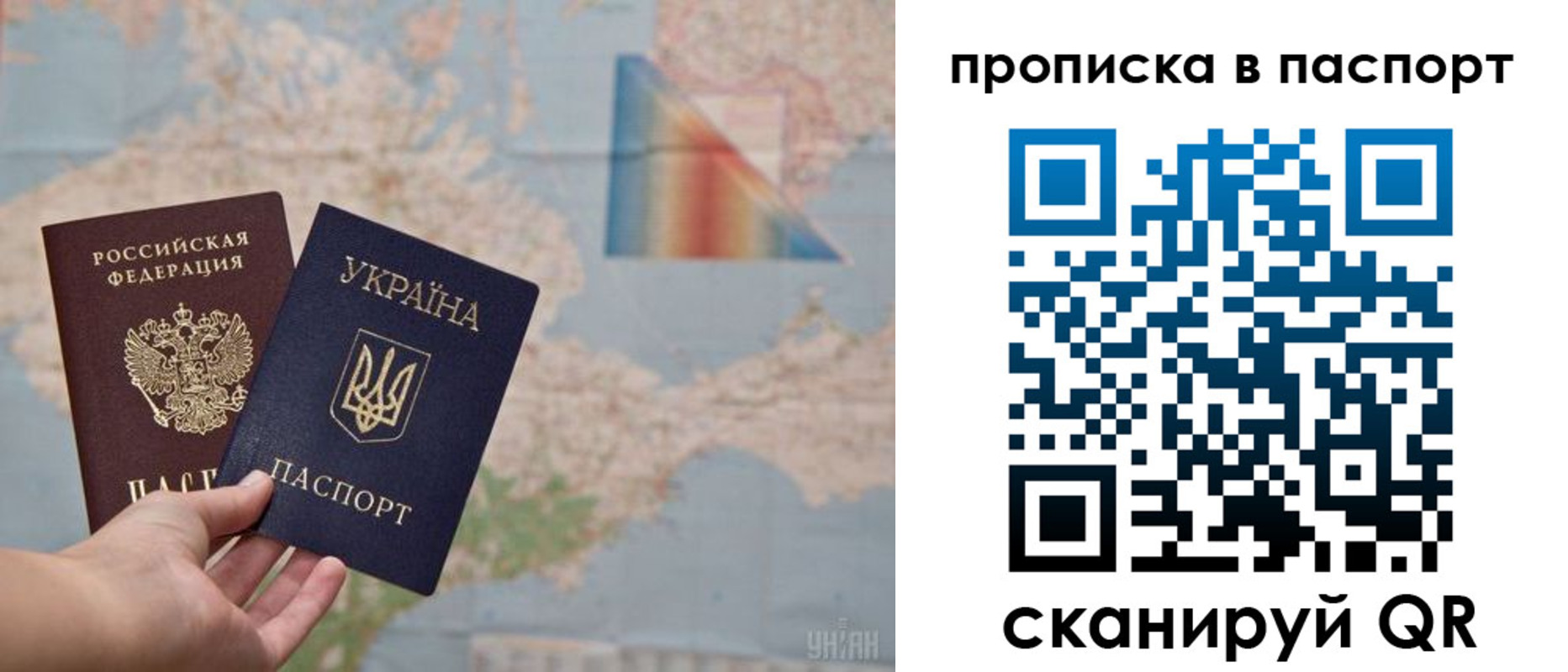 где прописаться в Купино