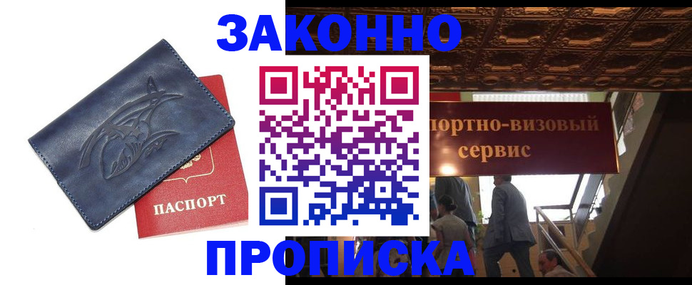 прописка поиск в Купино
